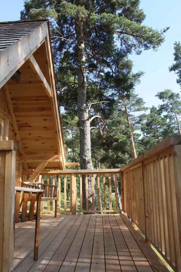 Cabane Lodge Domaine Du Lac Chambon Murol Zewnętrze zdjęcie