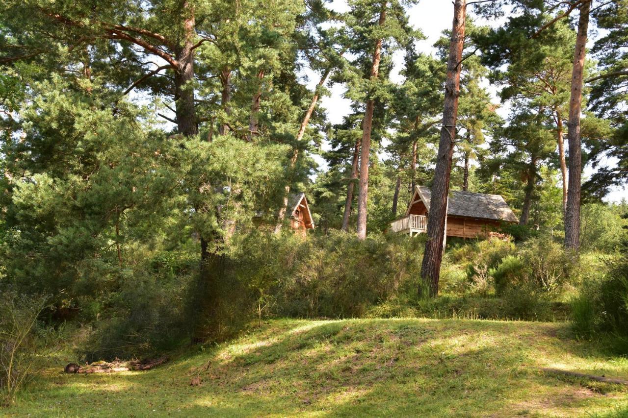 Cabane Lodge Domaine Du Lac Chambon Murol Zewnętrze zdjęcie